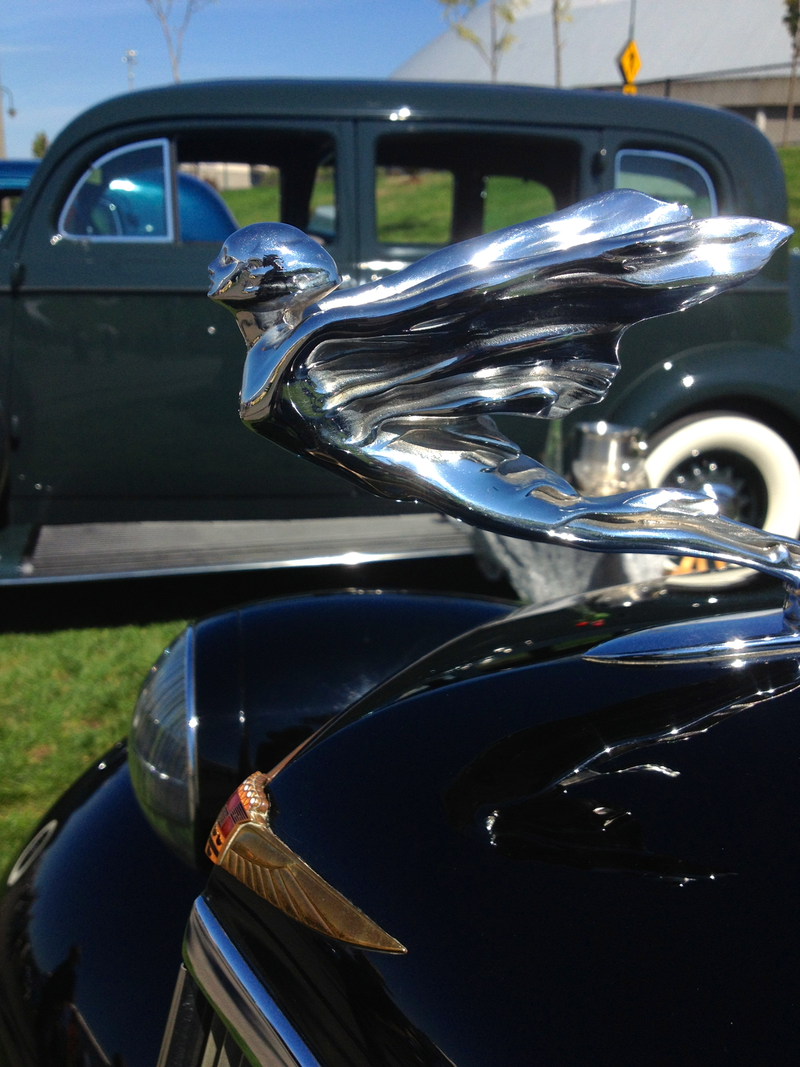 Illustration for article titled Detail Photo Dump from Kirkland Concours!
